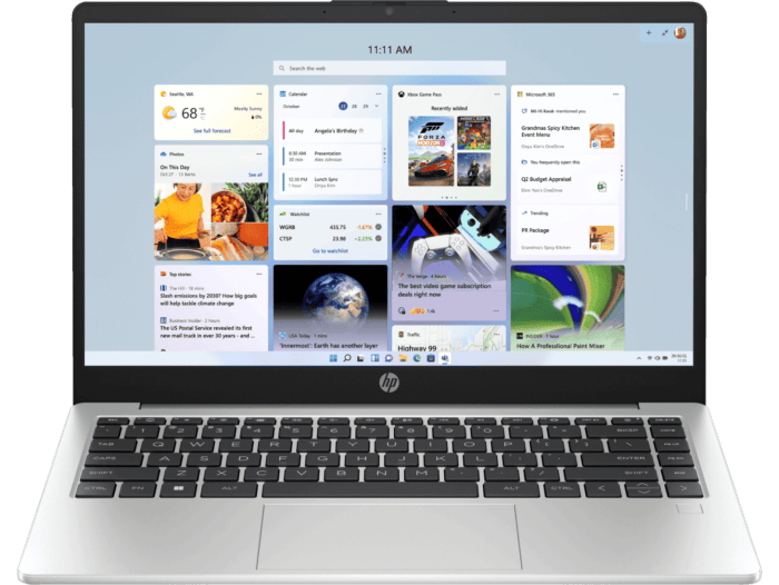 HP 245 35.6 cm (14) G10 Notebook PC, Silver - 35.56 cm (14) - Silver (D3NU5AT)