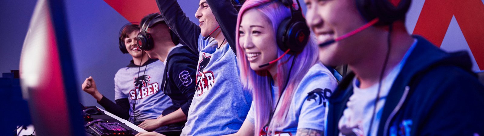 HP Gaming PC
